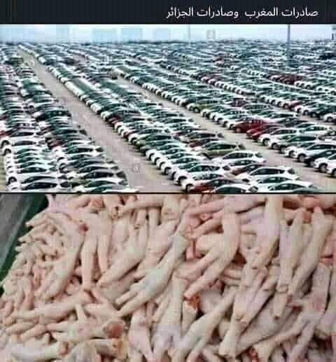 الشيخ فيصل بن قاسم آل ثاني : الجزائر لها من المؤهلات لتكون أهم بلدان المنطقة